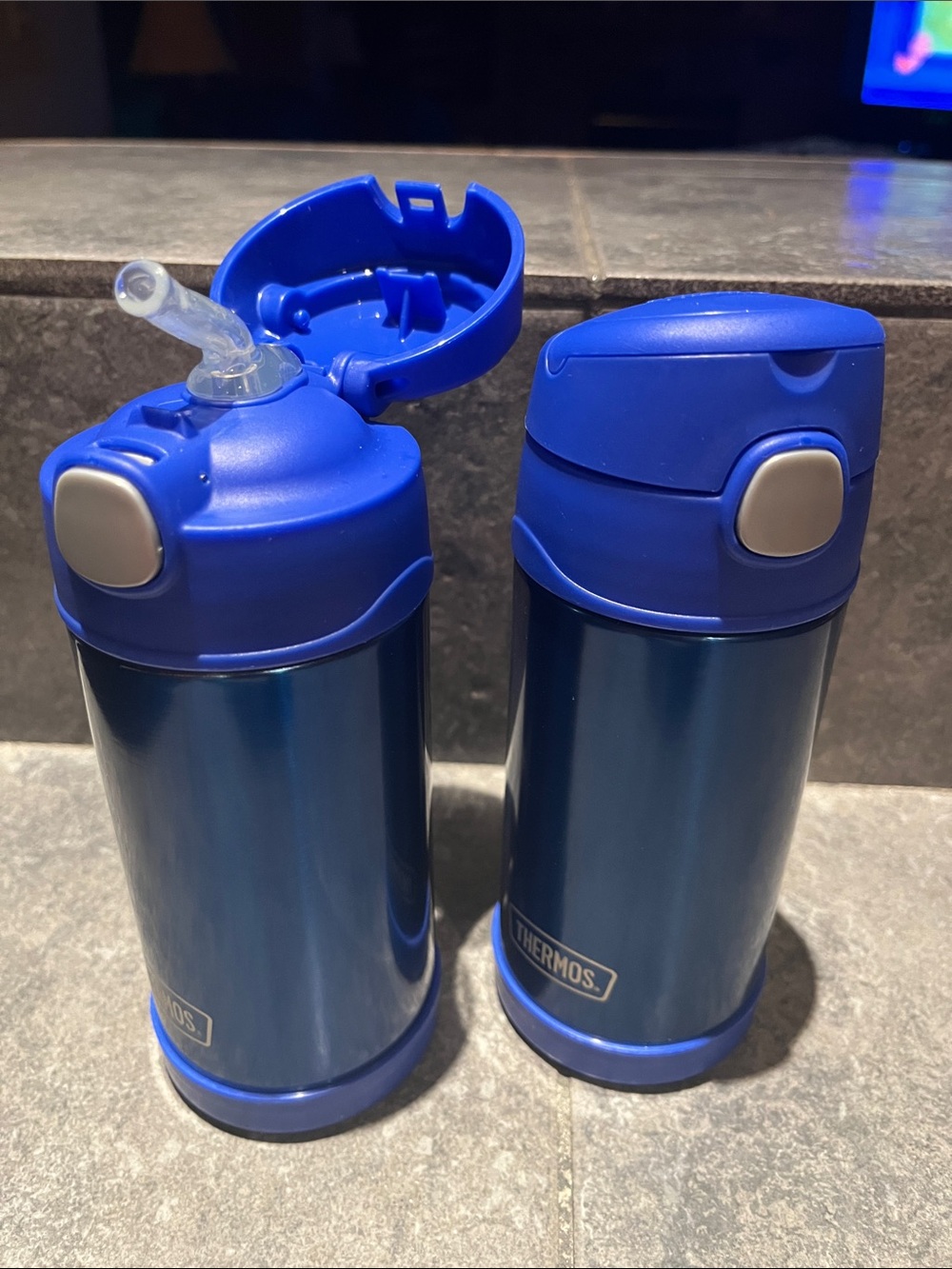 Thermos Blue Stainless Steel Kids Bottles with Flip and Straw Lids